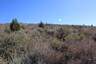 Pocatello Real Estate - MLS #577584 - Photograph #9