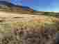 Pocatello Real Estate - MLS #577590 - Photograph #4