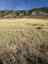 Pocatello Real Estate - MLS #577591 - Photograph #9