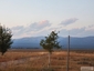 Pocatello Real Estate - MLS #577597 - Photograph #19