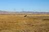 Pocatello Real Estate - MLS #577683 - Photograph #34