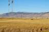 Pocatello Real Estate - MLS #577683 - Photograph #35