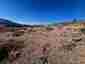 Pocatello Real Estate - MLS #577685 - Photograph #5