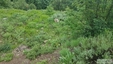 Pocatello Real Estate - MLS #577691 - Photograph #3