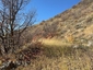 Pocatello Real Estate - MLS #577691 - Photograph #8