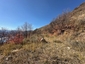 Pocatello Real Estate - MLS #577691 - Photograph #15