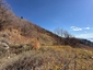 Pocatello Real Estate - MLS #577691 - Photograph #16