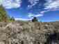 Pocatello Real Estate - MLS #577749 - Photograph #4