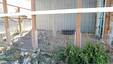 Pocatello Real Estate - MLS #577884 - Photograph #17