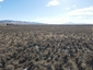 Pocatello Real Estate - MLS #577950 - Photograph #13