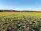 Pocatello Real Estate - MLS #578010 - Photograph #18