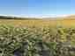 Pocatello Real Estate - MLS #578010 - Photograph #20