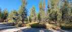 Pocatello Real Estate - MLS #578017 - Photograph #4