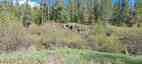 Pocatello Real Estate - MLS #578238 - Photograph #7