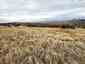 Pocatello Real Estate - MLS #578326 - Photograph #6