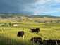 Pocatello Real Estate - MLS #578462 - Photograph #11