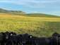 Pocatello Real Estate - MLS #578462 - Photograph #12