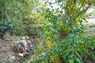 Pocatello Real Estate - MLS #578597 - Photograph #40