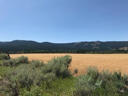 Pocatello Real Estate - MLS #578600 - Photograph #1
