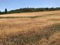 Pocatello Real Estate - MLS #578600 - Photograph #5