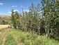 Pocatello Real Estate - MLS #578600 - Photograph #7