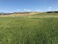 Pocatello Real Estate - MLS #578600 - Photograph #9