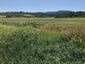 Pocatello Real Estate - MLS #578600 - Photograph #10