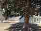 Pocatello Real Estate - MLS #578623 - Photograph #15