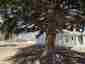 Pocatello Real Estate - MLS #578623 - Photograph #17