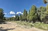 Pocatello Real Estate - MLS #578634 - Photograph #2