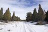 Pocatello Real Estate - MLS #578634 - Photograph #4