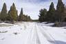 Pocatello Real Estate - MLS #578634 - Photograph #5