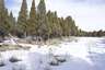 Pocatello Real Estate - MLS #578634 - Photograph #15