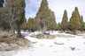 Pocatello Real Estate - MLS #578634 - Photograph #16