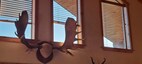 Pocatello Real Estate - MLS #578644 - Photograph #17