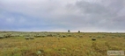 Pocatello Real Estate - MLS #578646 - Photograph #31