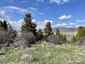 Pocatello Real Estate - MLS #578666 - Photograph #2