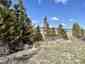 Pocatello Real Estate - MLS #578666 - Photograph #4