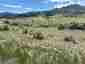 Pocatello Real Estate - MLS #578671 - Photograph #2