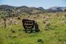 Pocatello Real Estate - MLS #578689 - Photograph #10