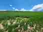 Pocatello Real Estate - MLS #578690 - Photograph #7