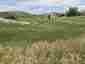 Pocatello Real Estate - MLS #578883 - Photograph #5
