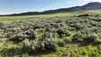 Pocatello Real Estate - MLS #578909 - Photograph #32