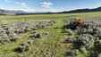 Pocatello Real Estate - MLS #578909 - Photograph #34