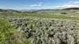 Pocatello Real Estate - MLS #578909 - Photograph #36