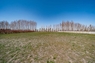 Pocatello Real Estate - MLS #578933 - Photograph #47