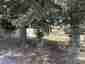 Pocatello Real Estate - MLS #578980 - Photograph #29
