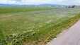 Pocatello Real Estate - MLS #579085 - Photograph #4