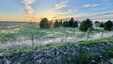 Pocatello Real Estate - MLS #579089 - Photograph #39