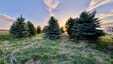 Pocatello Real Estate - MLS #579089 - Photograph #50